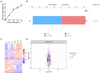 Frontiers | TMT-based Quantitative Proteomics Analysis Reveals The Role ...